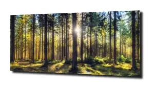 obraz na szkle, Panel szklany Las 13 