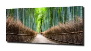 obraz na szkle, Panel szklany Las 14 