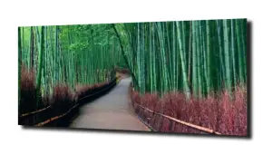 obraz na szkle, Panel szklany Las 15 