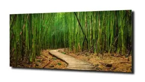 obraz na szkle, Panel szklany Las 16 