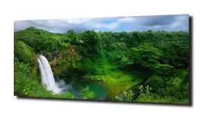 obraz na szkle, Panel szklany Las 23 