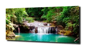 obraz na szkle, Panel szklany Las 25 