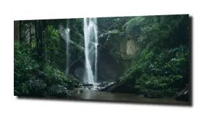 obraz na szkle, Panel szklany Las 27 