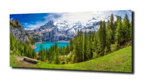 obraz na szkle, Panel szklany Las 29 