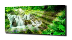 obraz na szkle, Panel szklany Las 30 