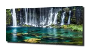 obraz na szkle, Panel szklany Las 33 