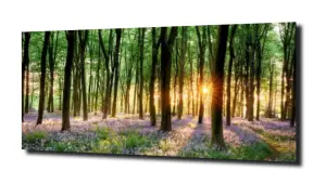 obraz na szkle, Panel szklany Las 36 