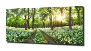 obraz na szkle, Panel szklany Las 38 