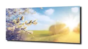 obraz na szkle, Panel szklany Las 39 