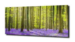 obraz na szkle, Panel szklany Las 42 