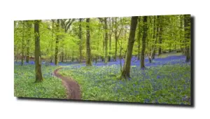 obraz na szkle, Panel szklany Las 44 