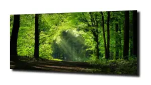 obraz na szkle, Panel szklany Las 48 
