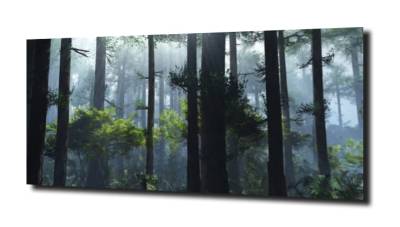 obraz na szkle, Panel szklany Las 49 