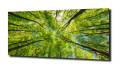 9be0d10ddf6eb4de02fd6fa32732aa6b