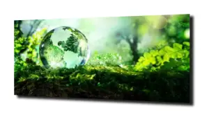 obraz na szkle, Panel szklany Las 53 