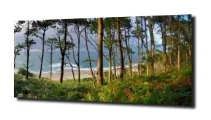 obraz na szkle, Panel szklany Las 56 