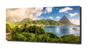 obraz na szkle, Panel szklany Las 57 