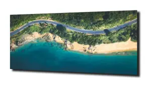 obraz na szkle, Panel szklany Las 58 