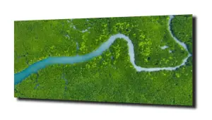 obraz na szkle, Panel szklany Las 59 