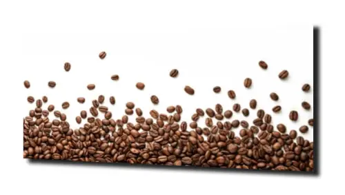 901a4fe4fb583ed95974e3d48c351a3a