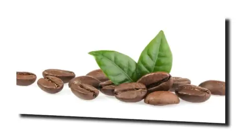 4bcd2069f65bbc0518585974aca080a7