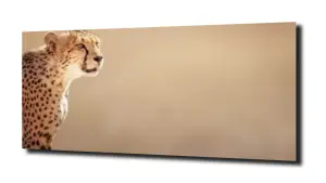obraz na szkle, Panel szklany Gepard 