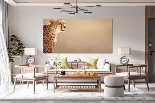 d79a6c660faffc50bdaf5a815a888770