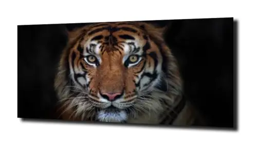 3fb792dce1a4466f712447527a64cb44