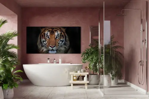 677546a7c35a9393a0a29e9035f60d49