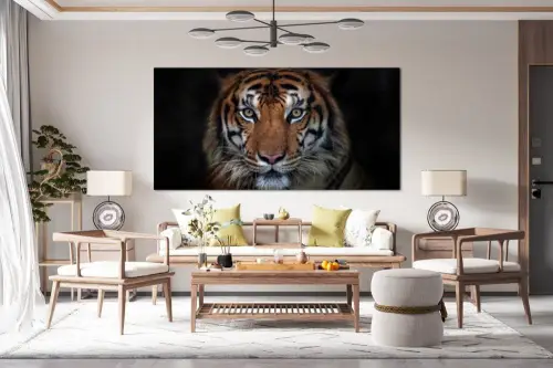 dc153c5b4243f9b222fd0b26c6fe9b0f