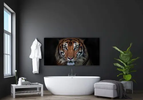 bb991a90eb61cc4c7c8d9b00cc8dcfe6