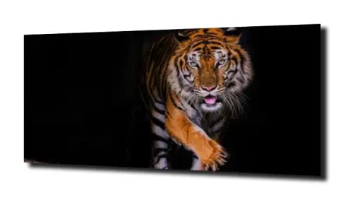 4979795f392ee8a3c8ddf28bef272321