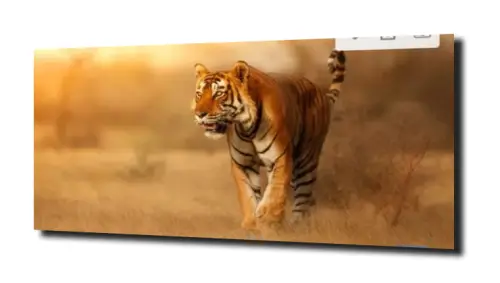 28b7d2d483a48df6440b3bd456ebe7d1