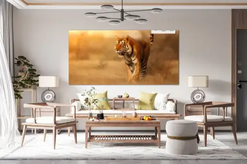 210e35eef2e8bc7650e3de784270566e