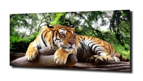 3ea040916a7662518f9cbd52c0bc1ed0