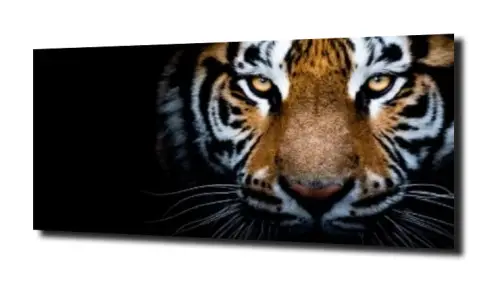 bb46ec0e759679d38766e577bd0447c7