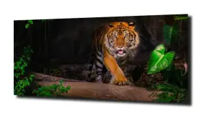 obraz na szkle Tygrys zwierzę liście 