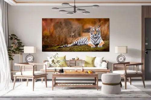 c4d8078a73b3db74d47ea789f54ba664