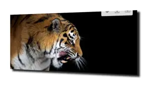obraz na szkle, Panel szklany Tygrys 