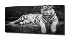 obraz na szkle Tygrys  kot zwierzęta 