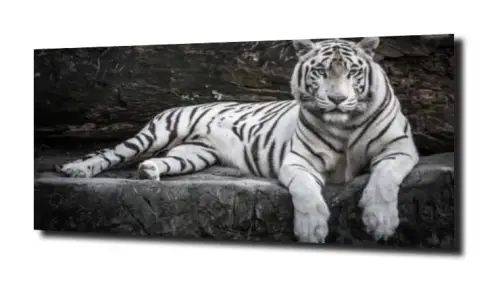 e7421bd2379fe8bcc034a2c61aab758b