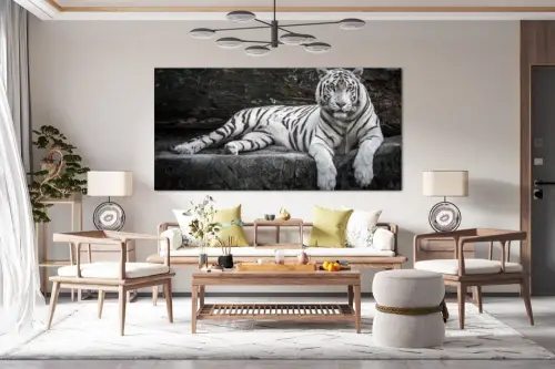 11d13fe81c29b01444ec34552e7bd1fa