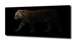 obraz na szkle Tygrys zwierzę Afryka 