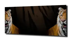 obraz na szkle Tygrys kot zwierzęta  