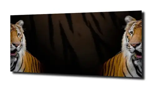 710522f337fd6285815436024fc7eb51