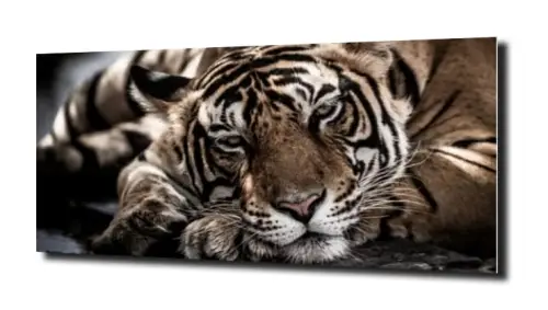 17c43ff766b54c7ff5f7bf03eeb1c303