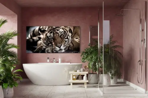 900db99234eceace8f7b310f34b3db3f