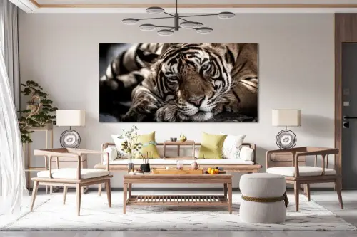 3dd4d0ae0e3ba05a1f337b62a26c7659