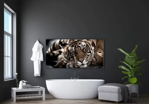 9f429eaed6b6bebcd29e90c0de5f593d