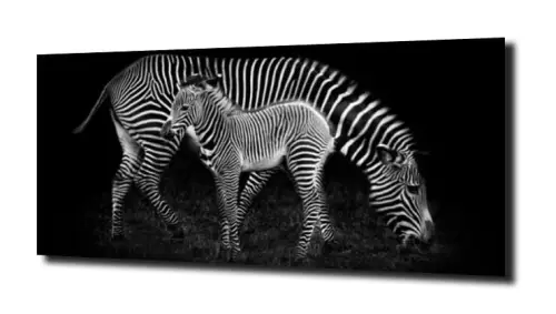 02205fc0c123bb8d7f282984089464f5